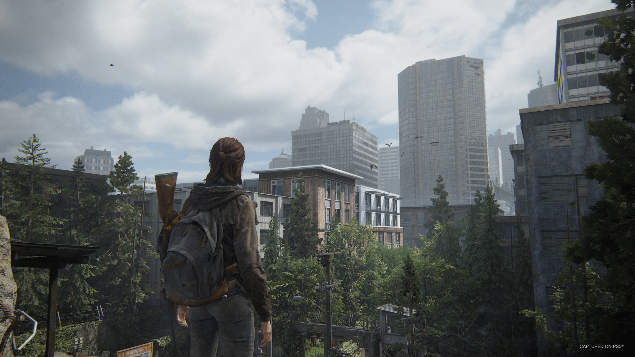 The Last of Us part II Remastered