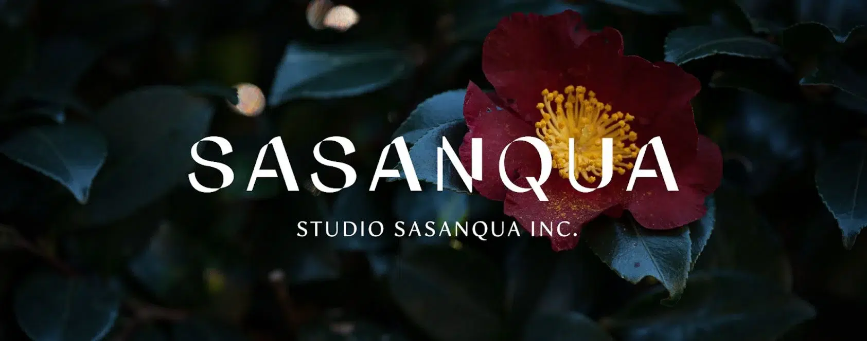 Annonce du studio de jeux vidéo Sasanqua