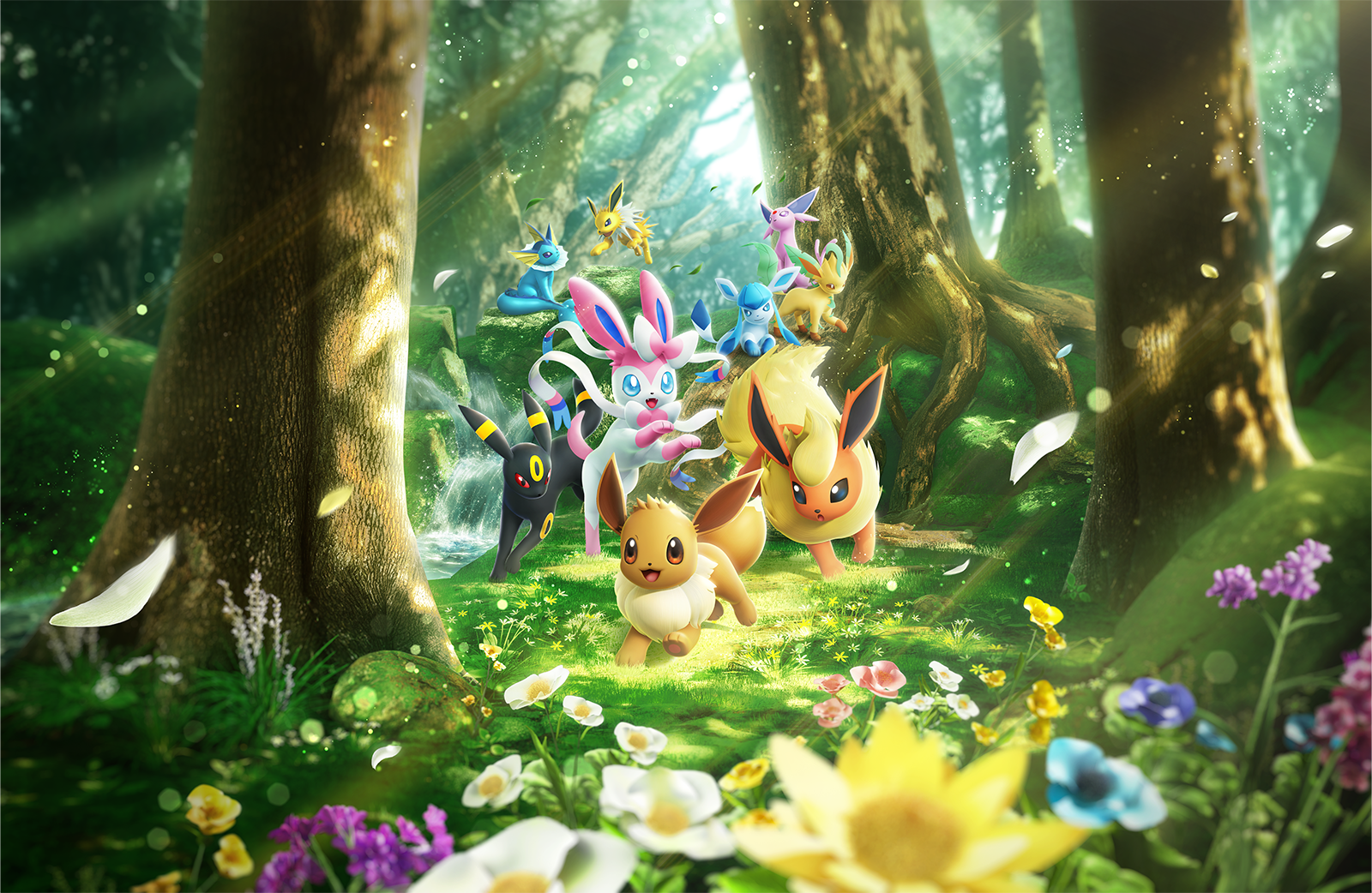 Pokémon TCG Pocket - La Clairière d'Évoli