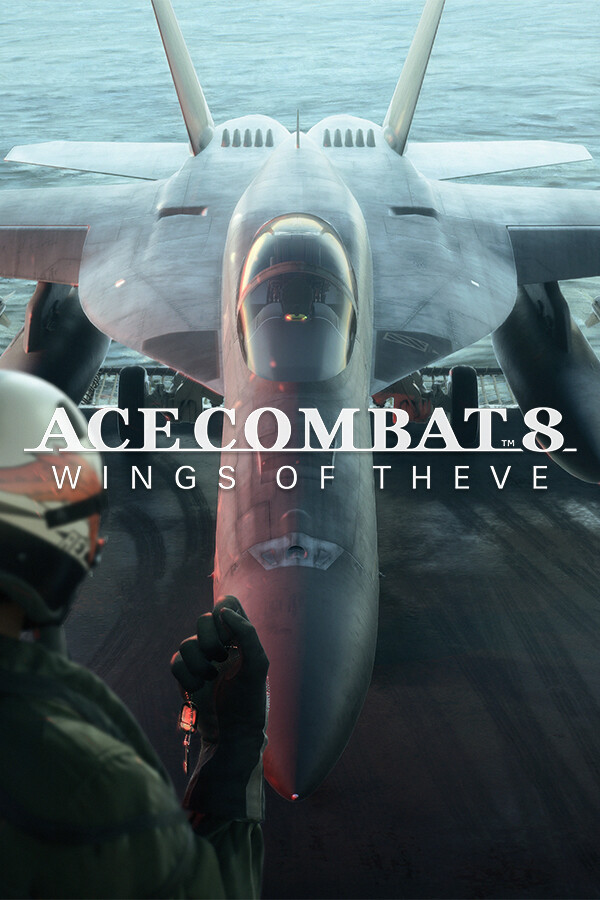 Jaquette du jeu Ace Combat 8